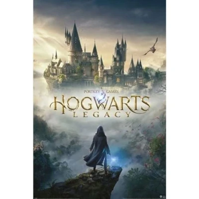 Afbeelding van Poster Hogwarts Legacy Wizarding World Universe 61x91,5cm