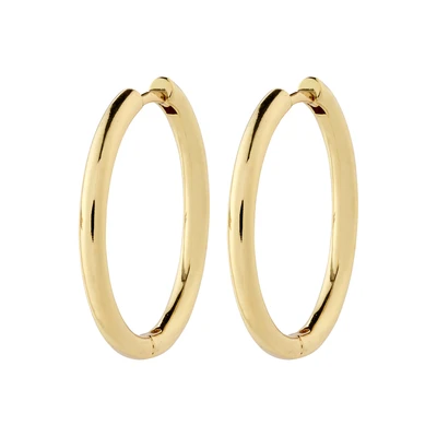 Afbeelding van Pilgrim Large Oorbellen, Dames, Maat: One Size, Gold plated