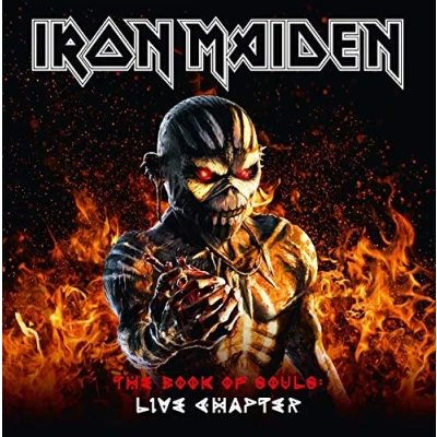 Afbeelding van The Book Of Souls: Live Chapter (2CD)