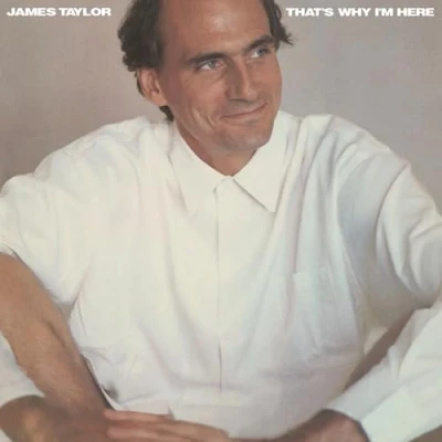 Afbeelding van James Taylor That&#039;s Why I&#039;m Here (LP)