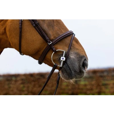 Afbeelding van Trust Hoofdstel Knokke Bruin/Zilver Cob