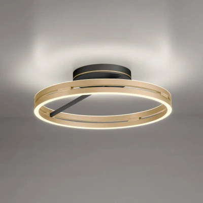 Afbeelding van Paul Neuhaus Ronde plafondlamp Pure Loop messing 6552 68