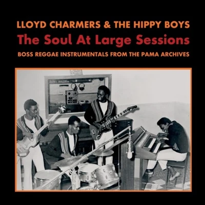 Afbeelding van Lloyd &amp; Hippy Boys Charmers The Soul At Large Sessions (LP)