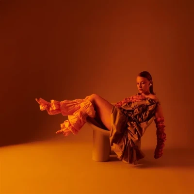 Afbeelding van Allysha Joy The Making of Silk (LP)