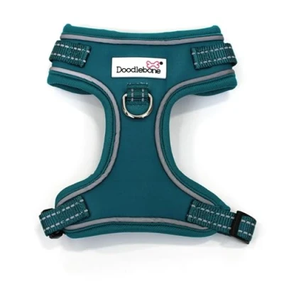 Afbeelding van Verstelbare Airmesh, Teal, 1 2
