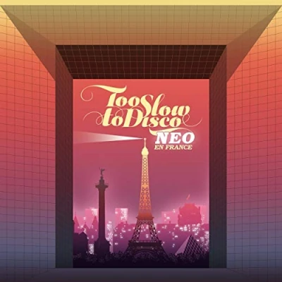Afbeelding van Various Artists Too Slow To Disco Neo En France (CD)