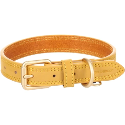 Afbeelding van Flamingo Hondenhalsband Virginia geel S/M, 31 39 cm, 20 mm, met een ring voor identificatielabel, genaaid hogere weerstand