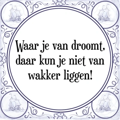Afbeelding van Waar je van droomt, daar kun niet wakker Tegeltje + Spreuk