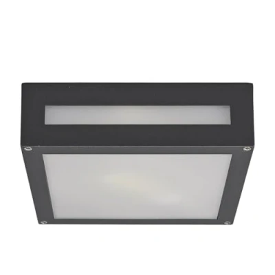 Afbeelding van Lucande plafondlamp 1licht aluminium, polycarbonaat H: 6.5 cm E27 grafietgrijs, gesatineerd wit