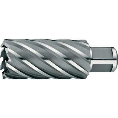 Afbeelding van Phantom Hss Kernboor, Snijdiepte 50 Mm 13mm