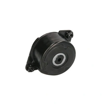 Afbeelding van SNR Spanrol (poly) V riem GA350.52