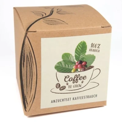 Afbeelding van Cadeau kweekset &quot;Coffee to grow&quot;, Zelfgekweekte Koffiestruik, Inclusief Kokosnootpot en Handleiding