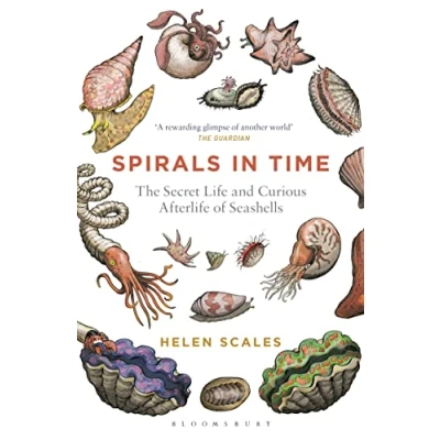 Afbeelding van Spirals in Time: The Secret Life and Curious Afterlife of Seashells