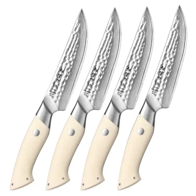 Afbeelding van HEZHEN B38H Set van 4 Steakmessen