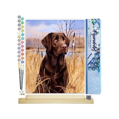 Afbeelding van Figured&#039;Art Schilderen op Nummer Volwassenen canvas Labrador Handwerk acrylverf Kit DIY Compleet 40x50cm met houten lijst