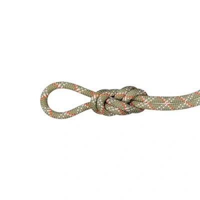 Afbeelding van Mammut 9.5 Gym Classic enkel touw