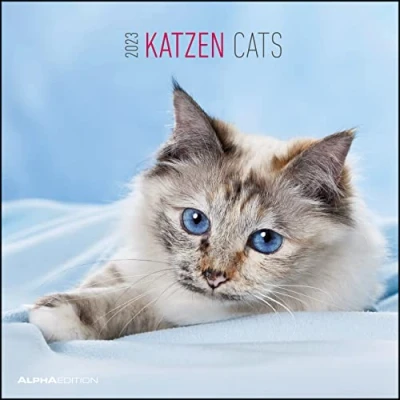 Afbeelding van Katzen 2023 30x30