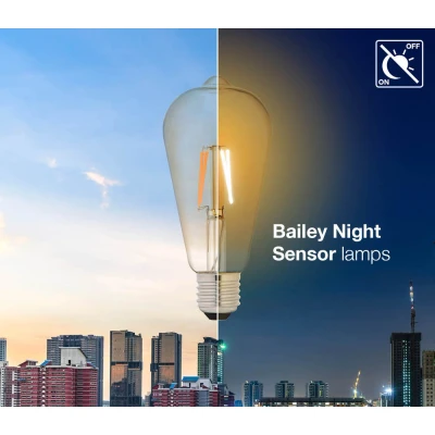 Afbeelding van Bailey LED Dag/Nacht Sensor Rustieklamp ST64 E27 4W 300lm 2200K Niet dimbaar