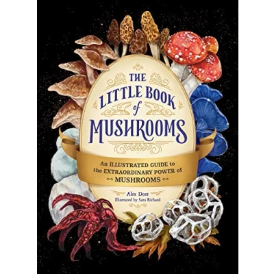 Afbeelding van the Little Book of Mushrooms: An Illustrated Guide to Extraordinary Power Mushrooms