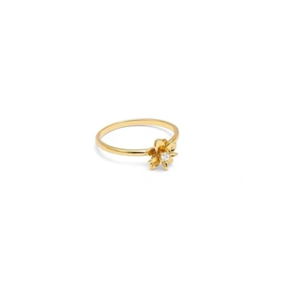 Afbeelding van Singularu Gardenia Ring goldcoloured, Dames, Maat: 50, Gold coloured