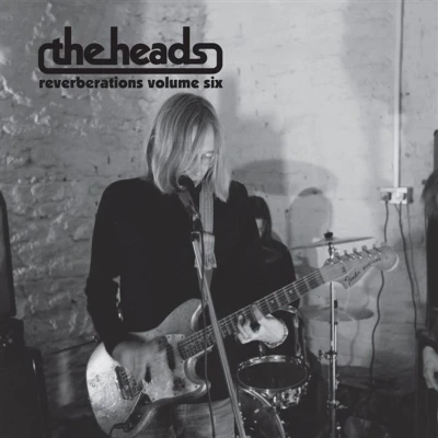 Afbeelding van The Heads Reverberations Vol. 6 (LP) (Mixed)