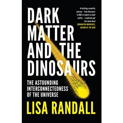 Afbeelding van Dark Matter and the Dinosaurs: Lisa Randall