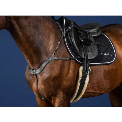 Afbeelding van Dyon Anatomisch Borsttuig US Jumping Collection