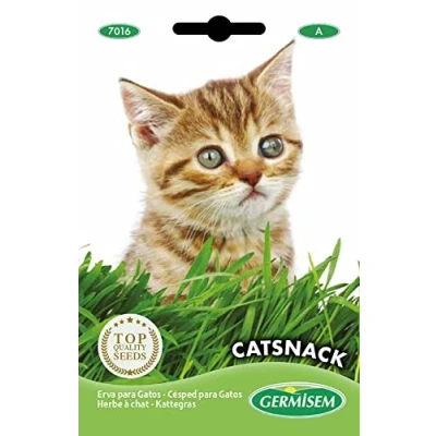 Afbeelding van Germisem EC7016 Catsnack Kruid voor Katten Zaden 10 g