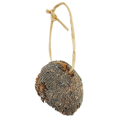 Afbeelding van Jr Farm Zonnebloem Vogelvoer 6.5 x 12 18 cm 30 g