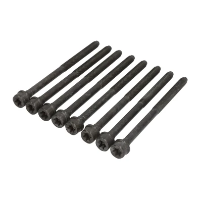 Afbeelding van Cilinderkopbout set REINZ 14 17428 02