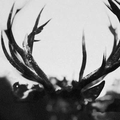 Afbeelding van Ihsahn (2 LPs)