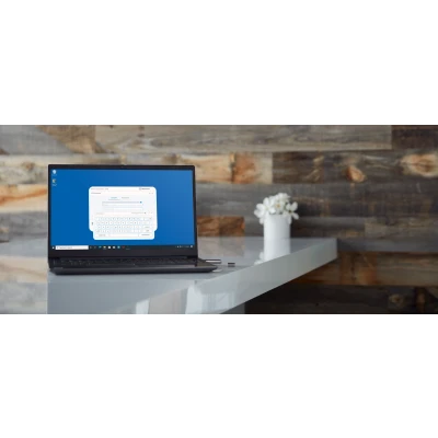 Afbeelding van Kingston IronKey Locker+ 50 256 GB USB Stick met bit versleuteling