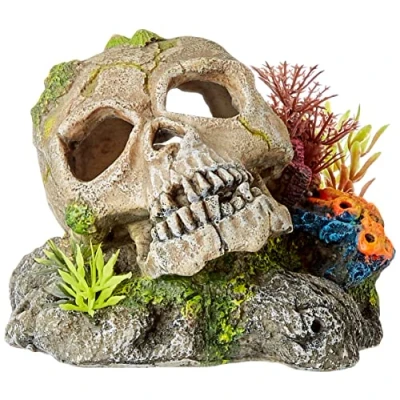 Afbeelding van Nobby aqua deco schedel met koraal en planten 13,5 x 10,5 cm 1 ST