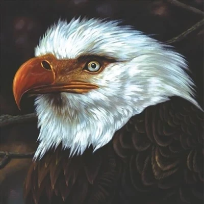 Afbeelding van Mogwai Hawk is Howling (2 LPs)