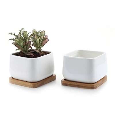 Afbeelding van T4U 9,5CM Succulente Plantenpot Set van 2, Vierkant Keramiek Vetplant Bloempot met Bamboe Onderzetter, Binnen Klein Cactus Pot Afvoergat Wit voor Sappige Aloë Kruid Decoratieve Geschenk