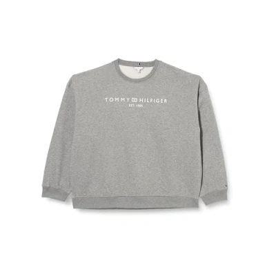 Afbeelding van Tommy Hilfiger Curve LOGO Sweater, Dames, Maat: 46, Medium grey heather