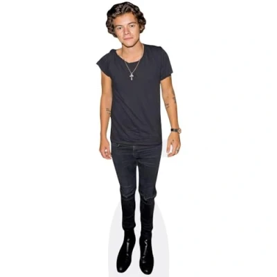 Afbeelding van Harry E. Styles (Casual) Levensgrote Knipsels