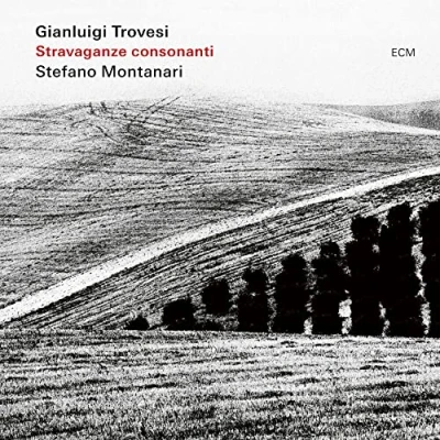 Afbeelding van Gianluigi Trovesi, Stefano Montanari Stravaganza (CD)