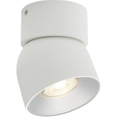 Afbeelding van Nordlux Downlight Pitcher, GU10, 1 lamp, metaal, wit