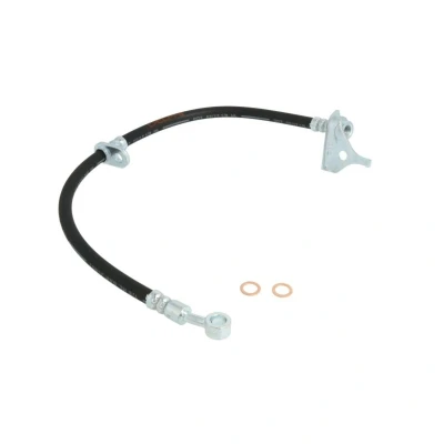 Afbeelding van Delphi Diesel Remslang LH7281
