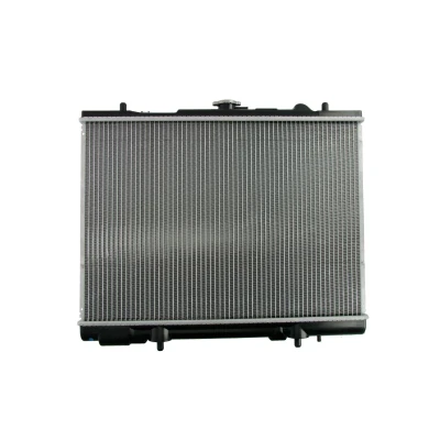 Afbeelding van Thermotec Radiateur D75014TT