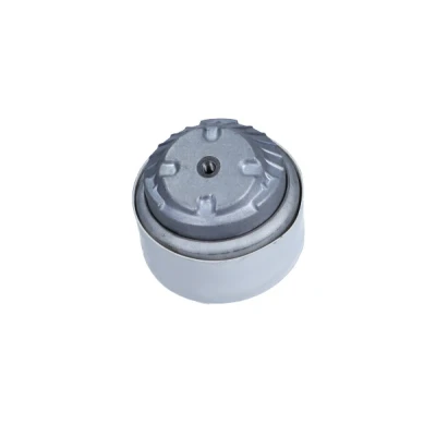 Afbeelding van Aslichaam /motorsteunlager MAXGEAR 40 0614