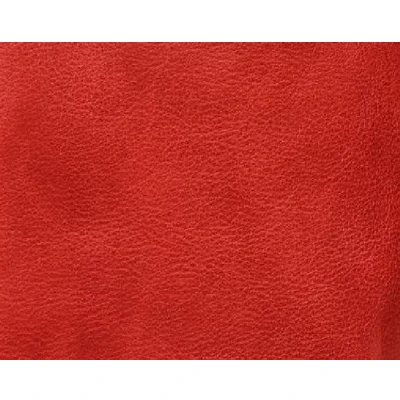 Afbeelding van Bear Design Hidde Schoudertas / Crossbodytas Rood