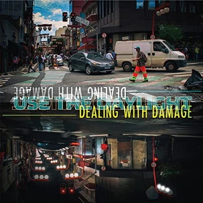 Afbeelding van Dealing With Damage Use the Daylight (LP)