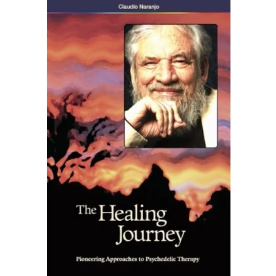 Afbeelding van The Healing Journey (2nd Edition)