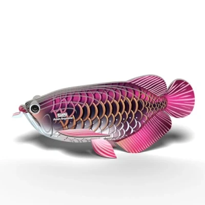 Afbeelding van EUGY 3D Drakenvis