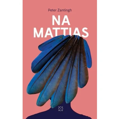 Afbeelding van Na Mattias