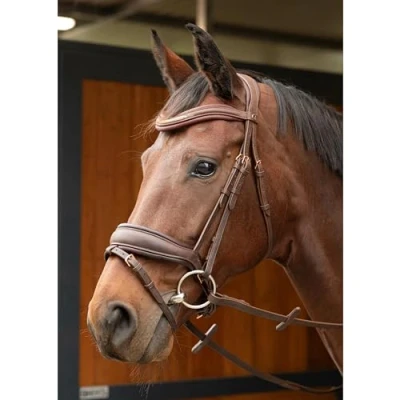 Afbeelding van Harry&#039;s Horse Hoofdstel Soft Bombastic Bruin Cob