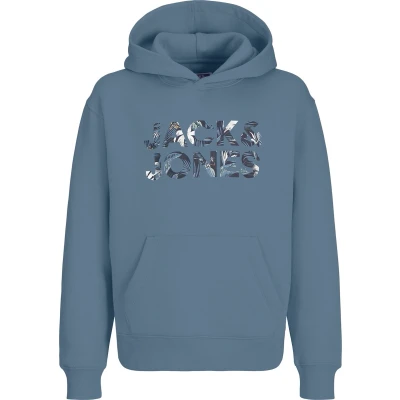 Afbeelding van JACK&amp;JONES JJEBRYAN CORP LOGO SWEAT HOOD NOOS JNR Jongens Sweaters