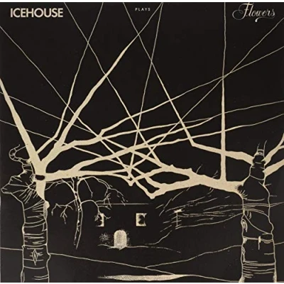 Afbeelding van Icehouse Plays Flowers: Live (2 LPs)
